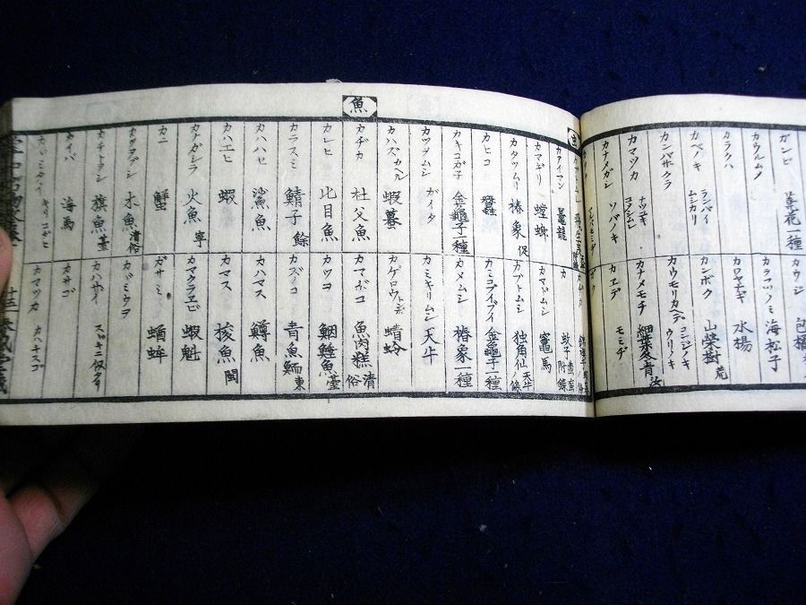 イメージ 5