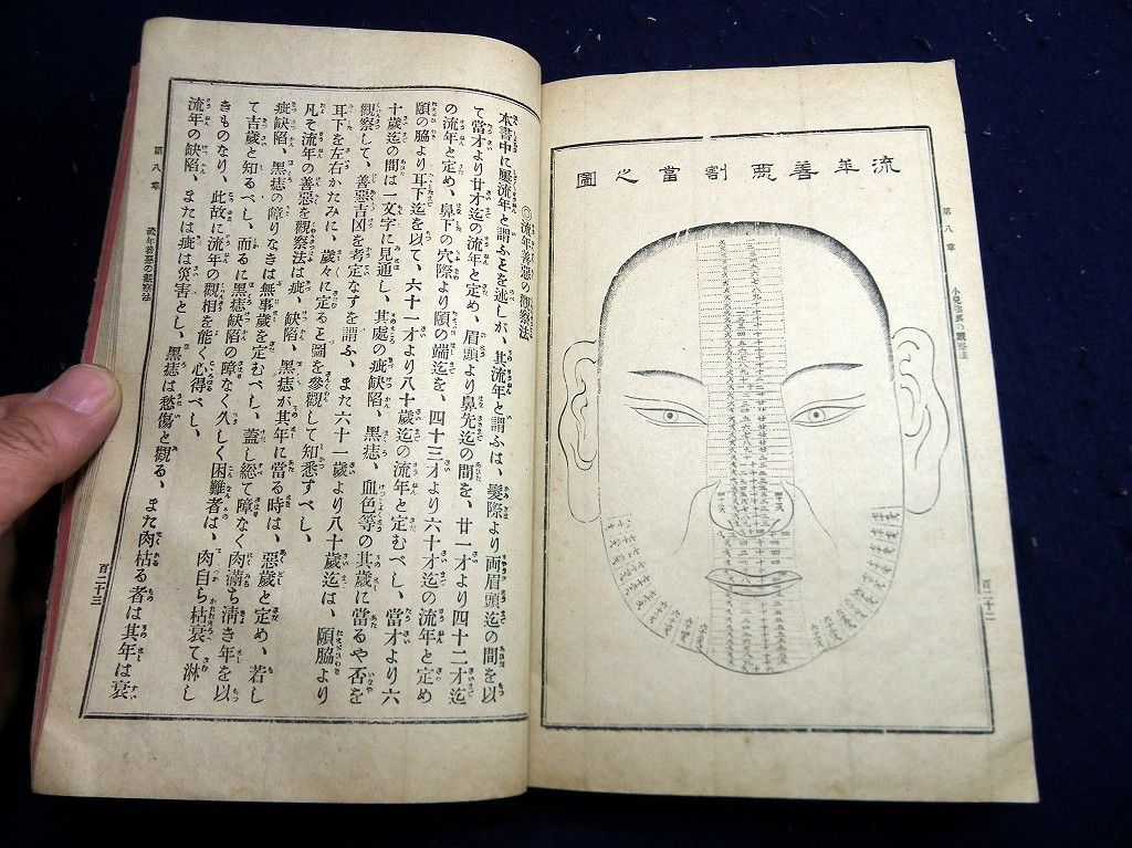 イメージ 10