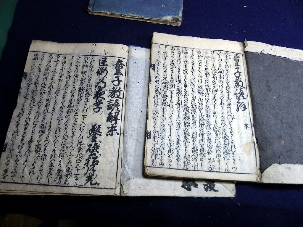 イメージ 6