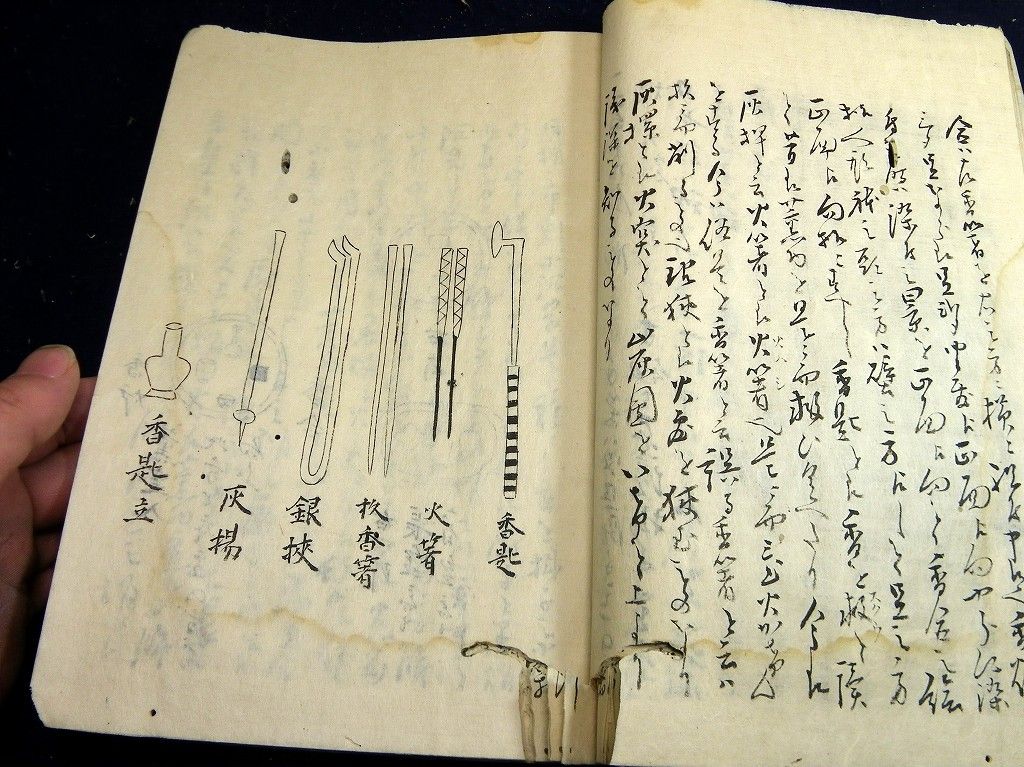 イメージ 7