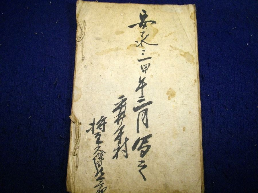 イメージ 8