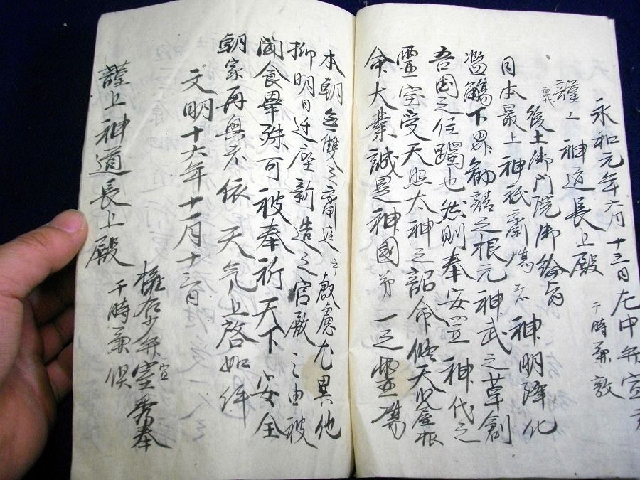 イメージ 4