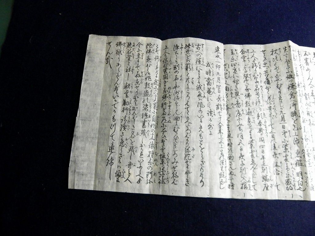 イメージ 5