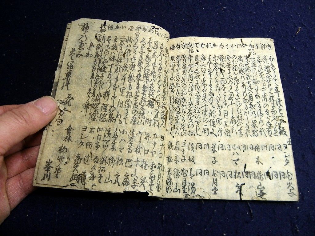 イメージ 8