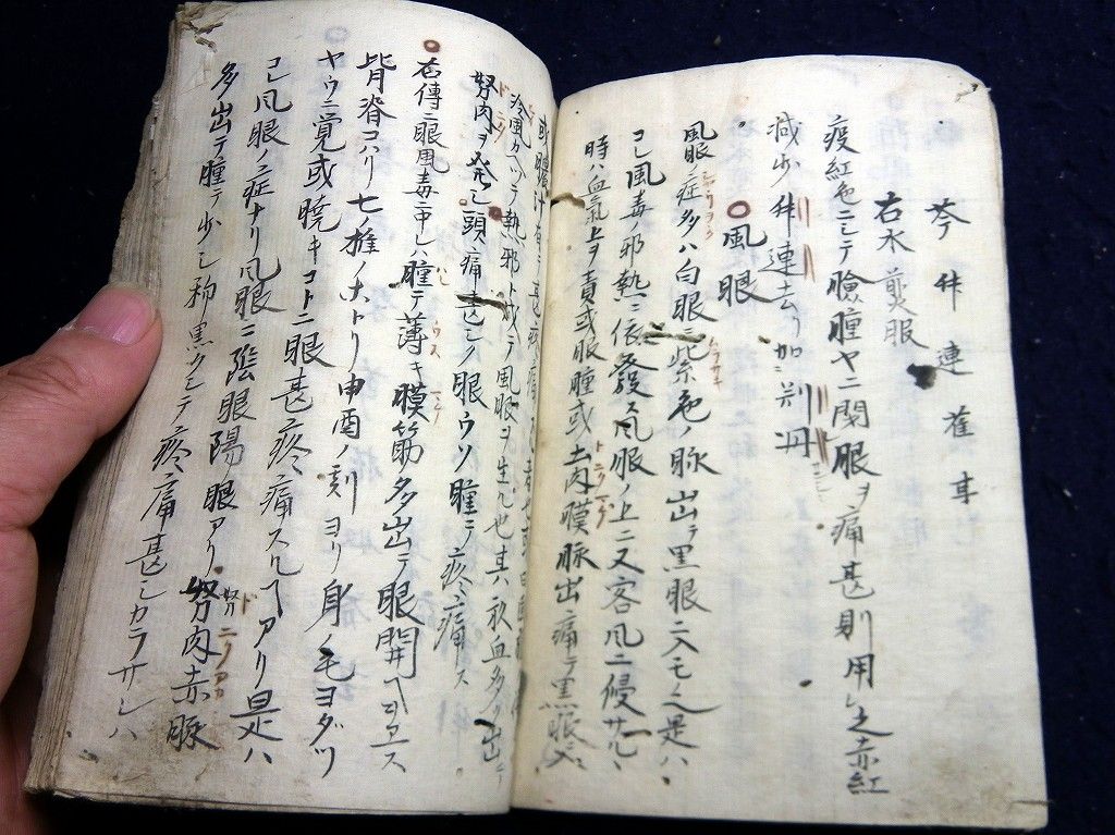 イメージ 5