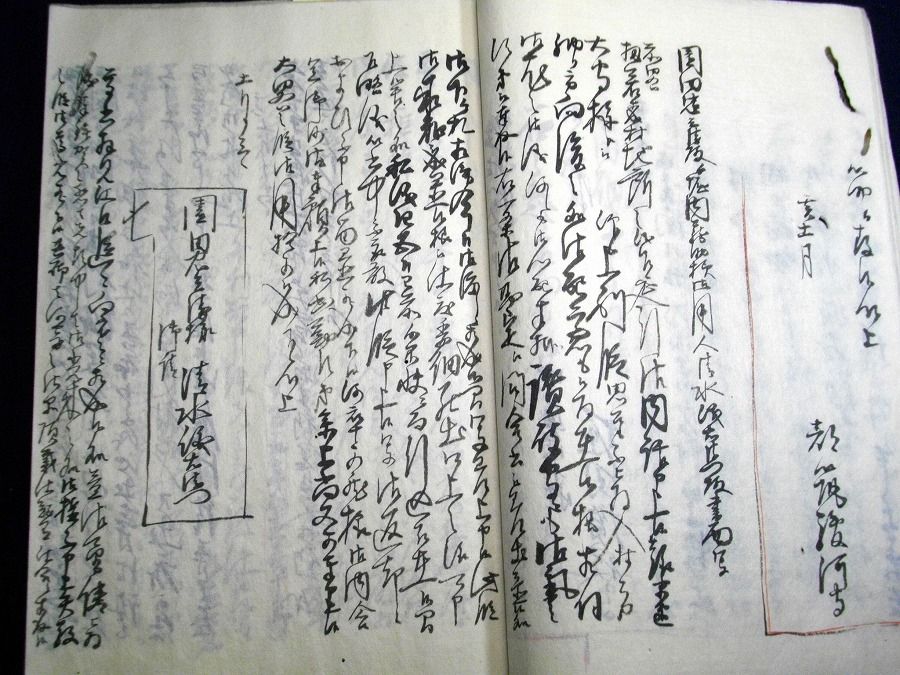 イメージ 7