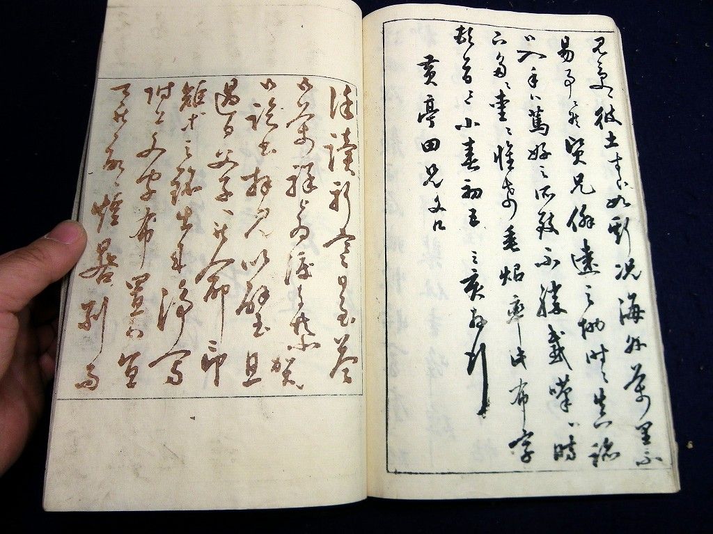 イメージ 6