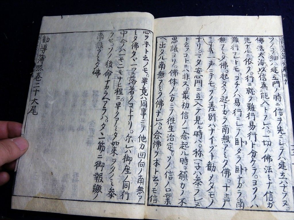イメージ 8