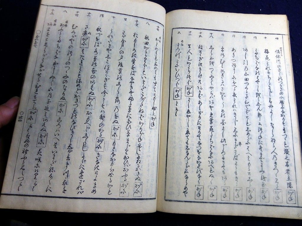 イメージ 8