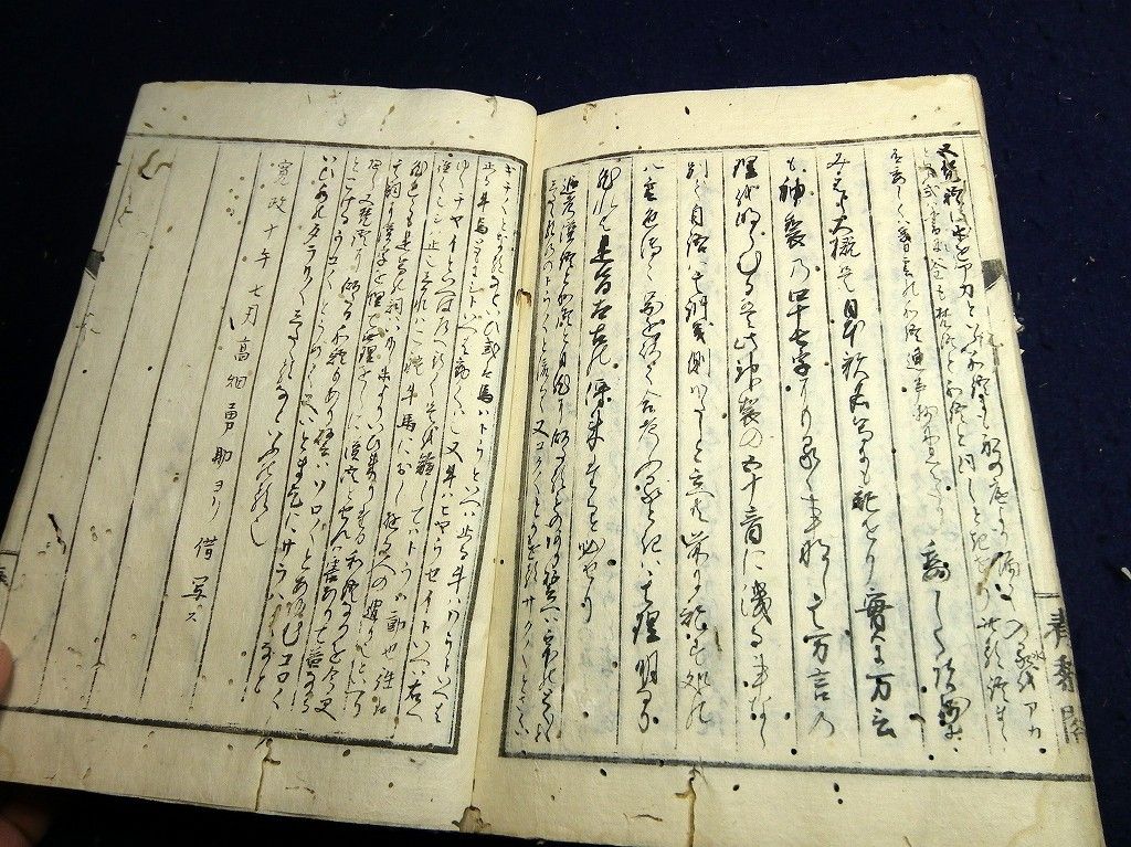 イメージ 16