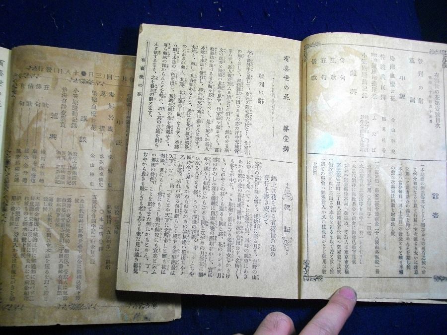 イメージ 3