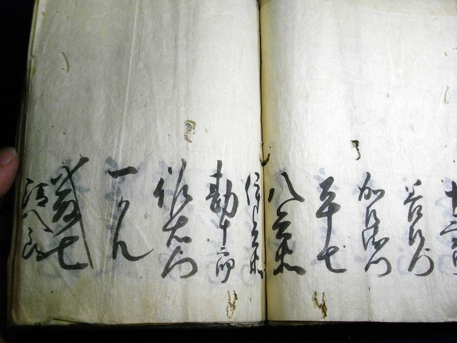 イメージ 10