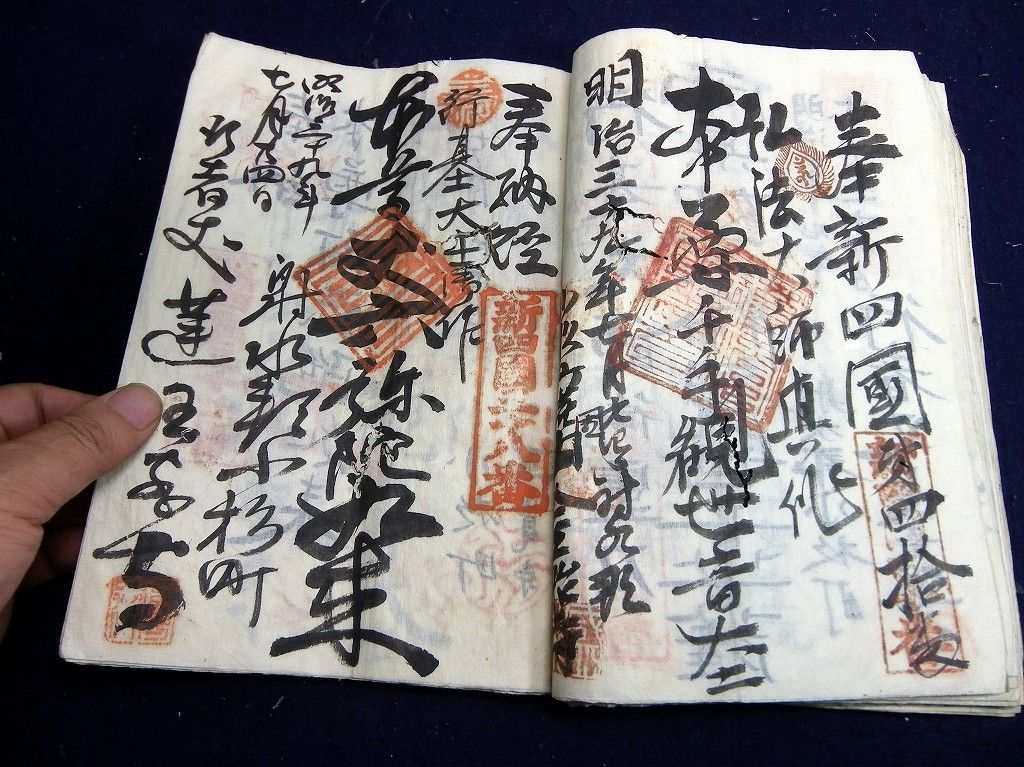 イメージ 7