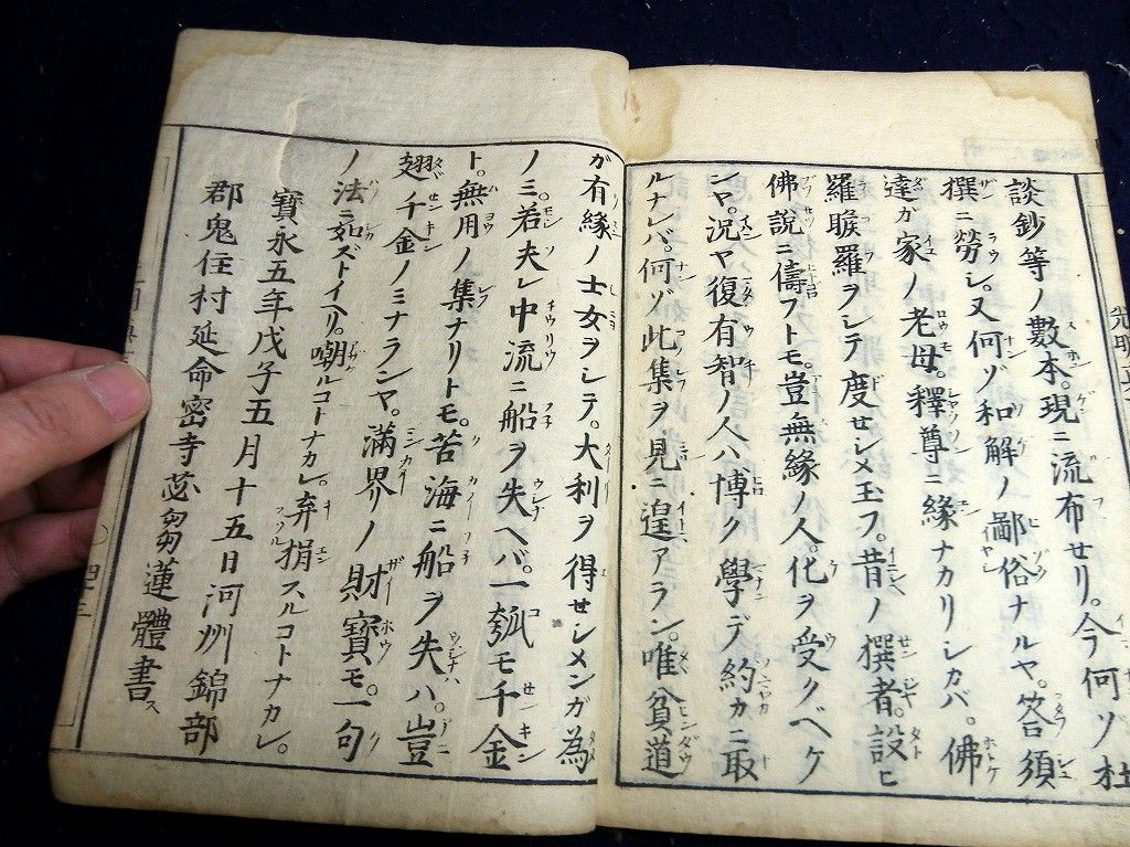 イメージ 8