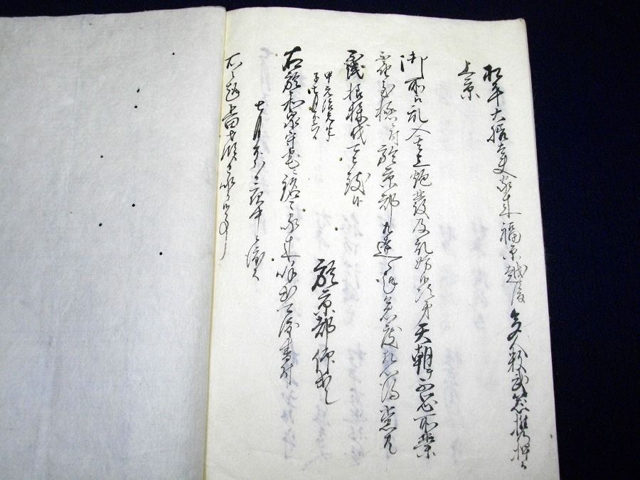 イメージ 6