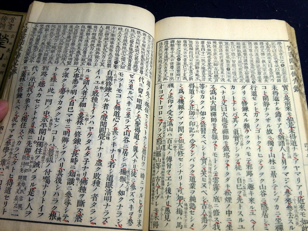 イメージ 5