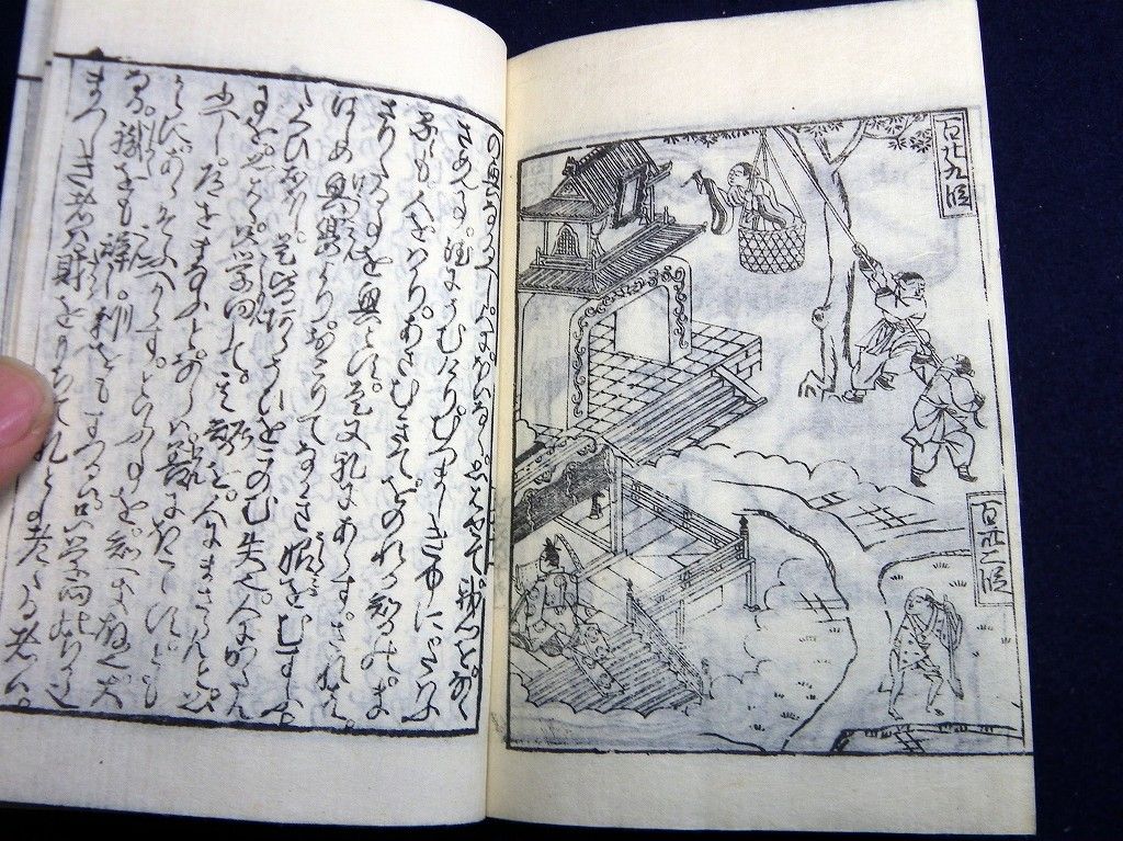 イメージ 5