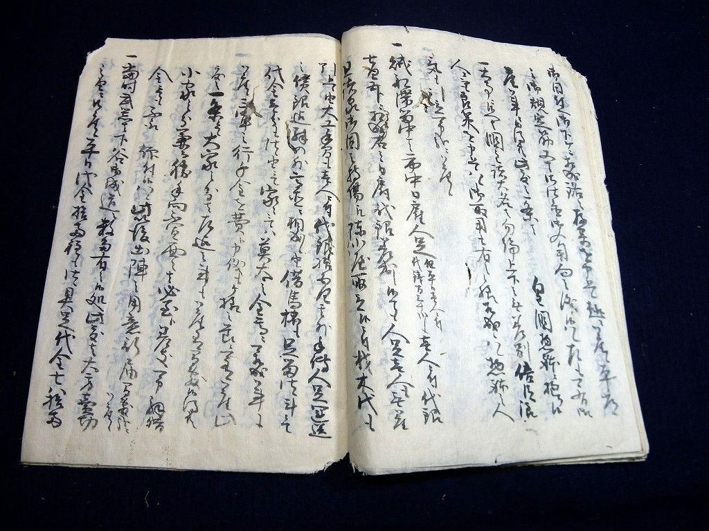 イメージ 5