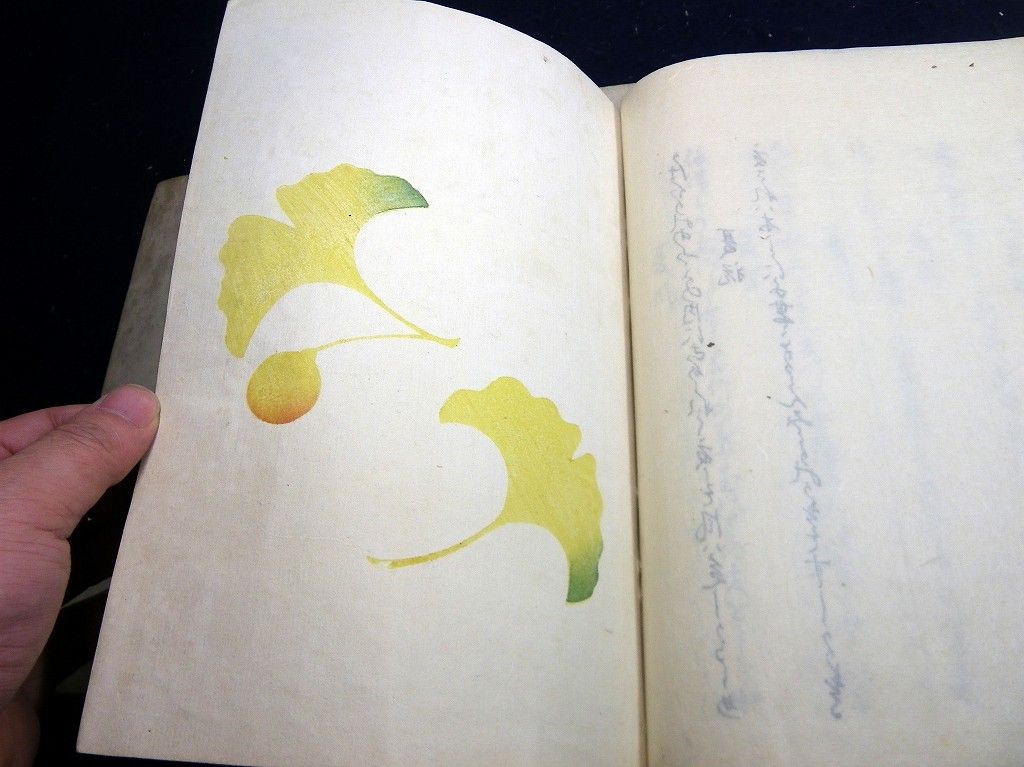 イメージ 5