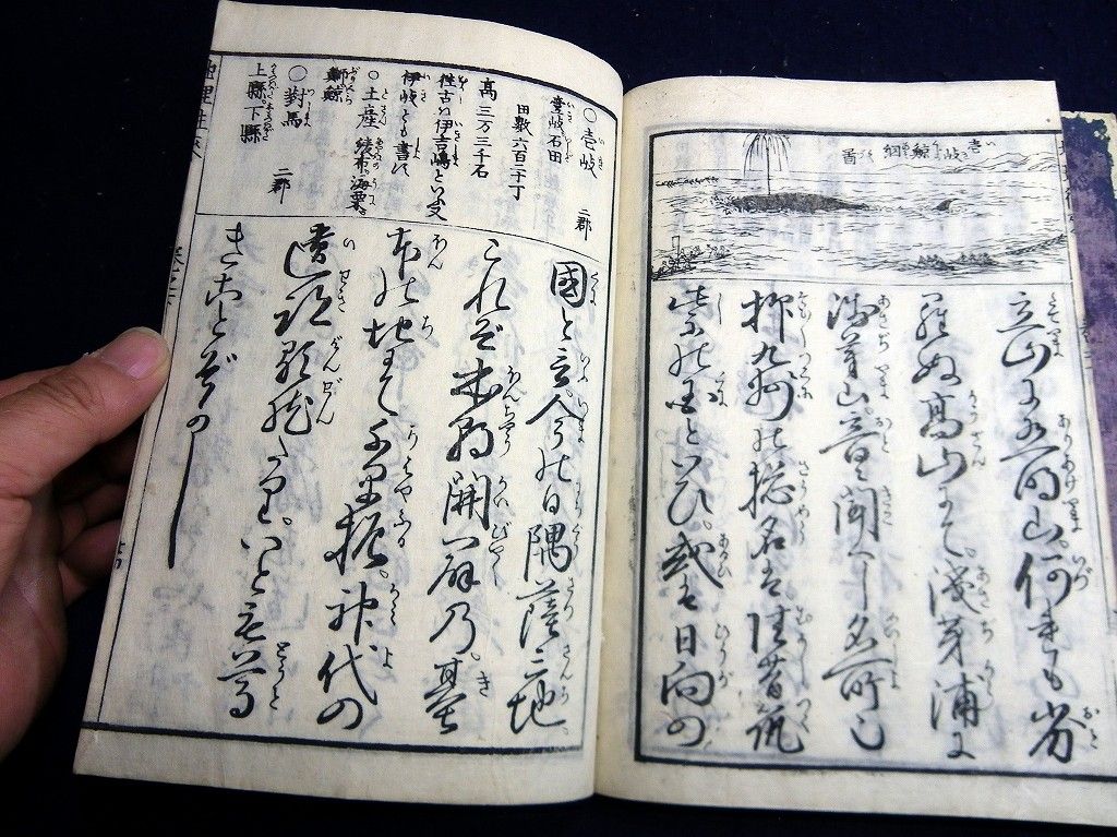 イメージ 9