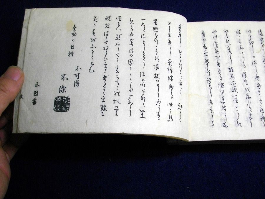 イメージ 5