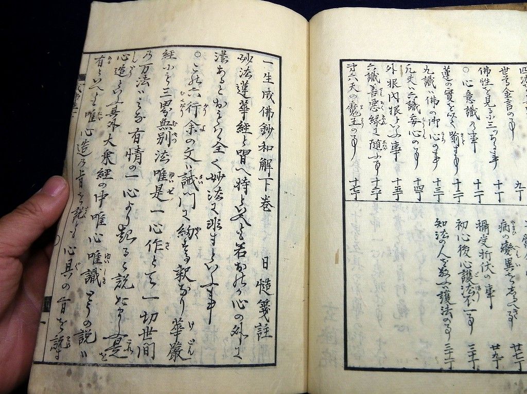 イメージ 8