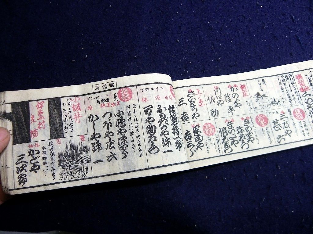 イメージ 7