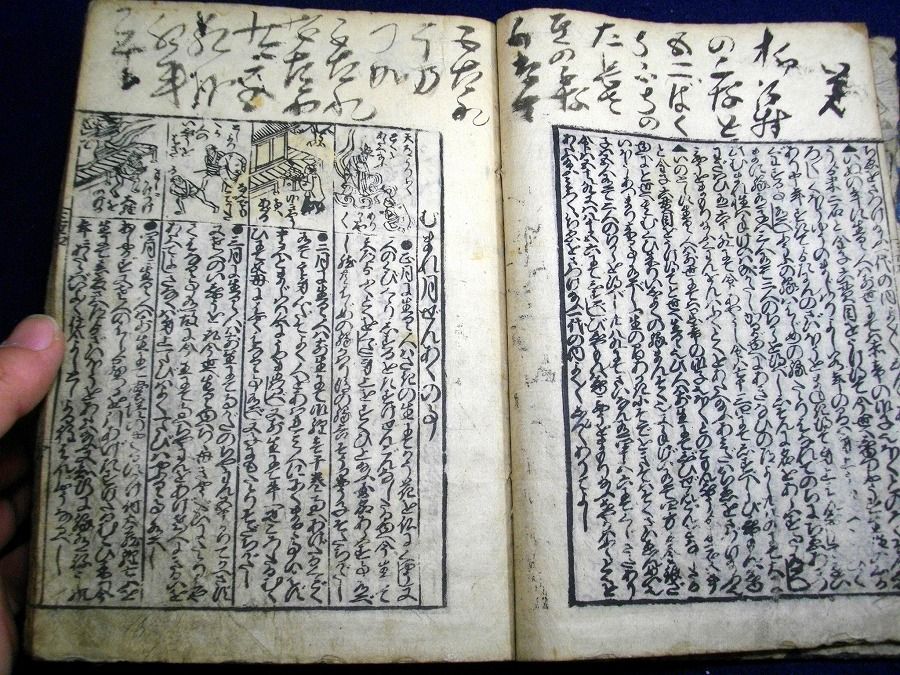 イメージ 3