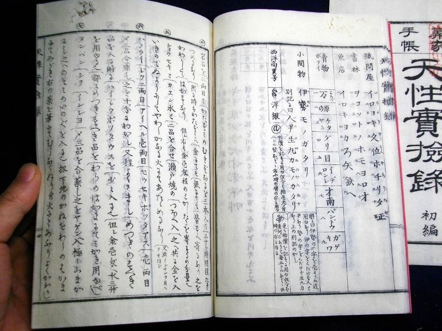 イメージ 5
