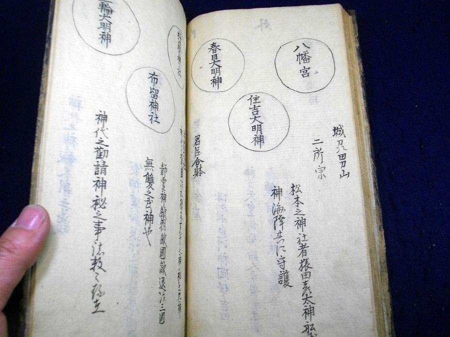 イメージ 7