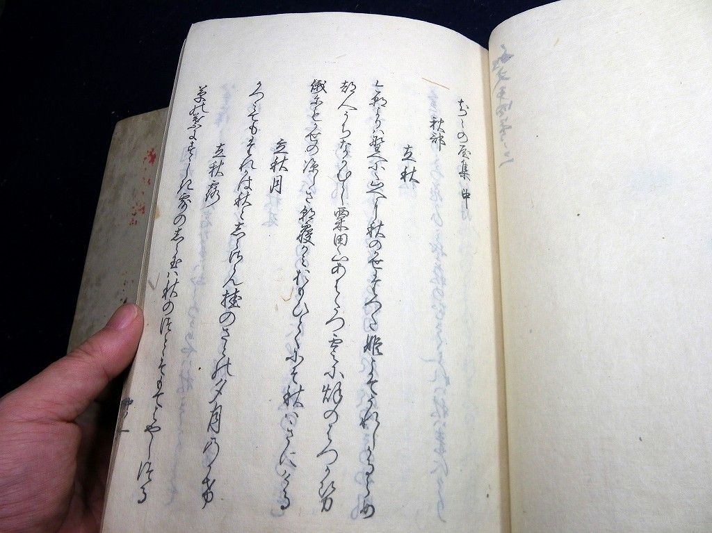 イメージ 7