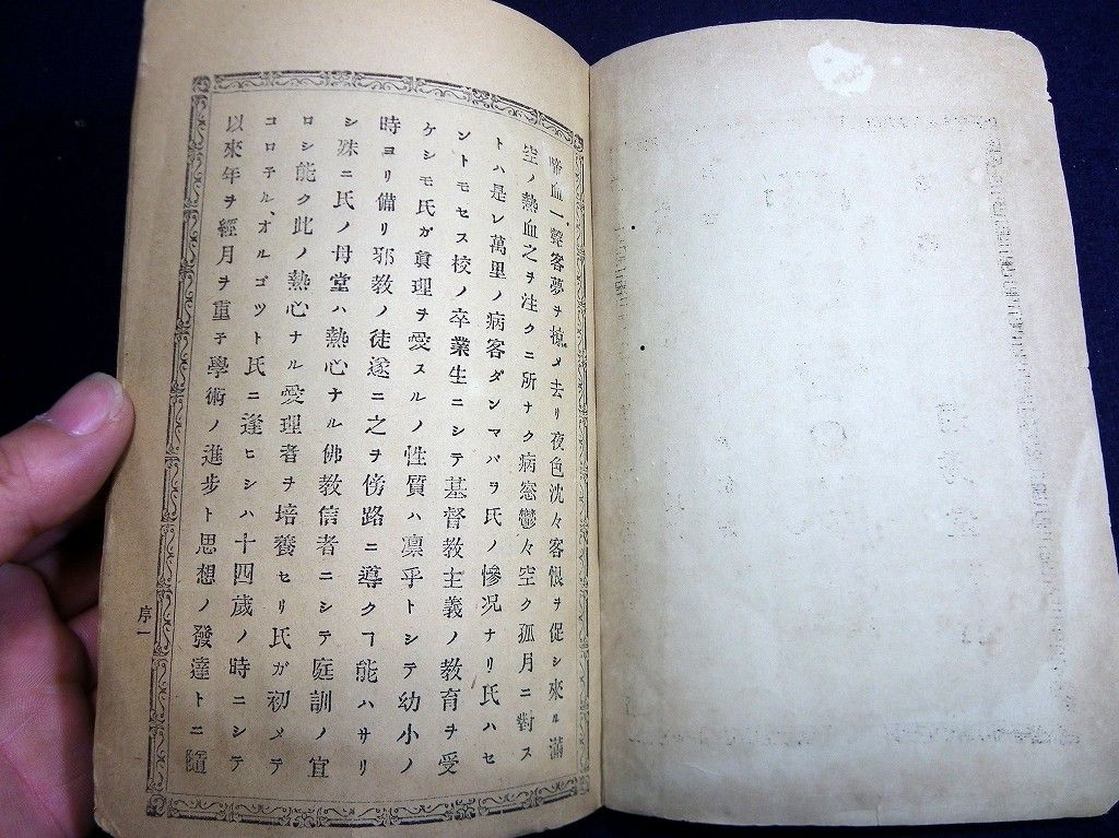 イメージ 3