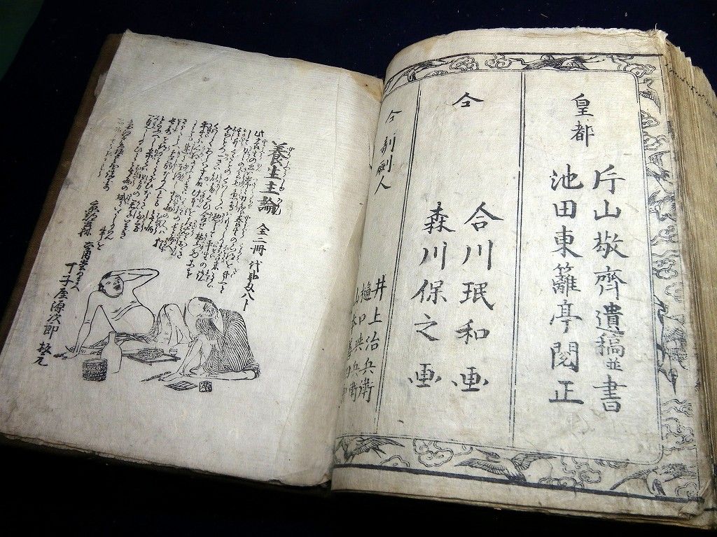 イメージ 13