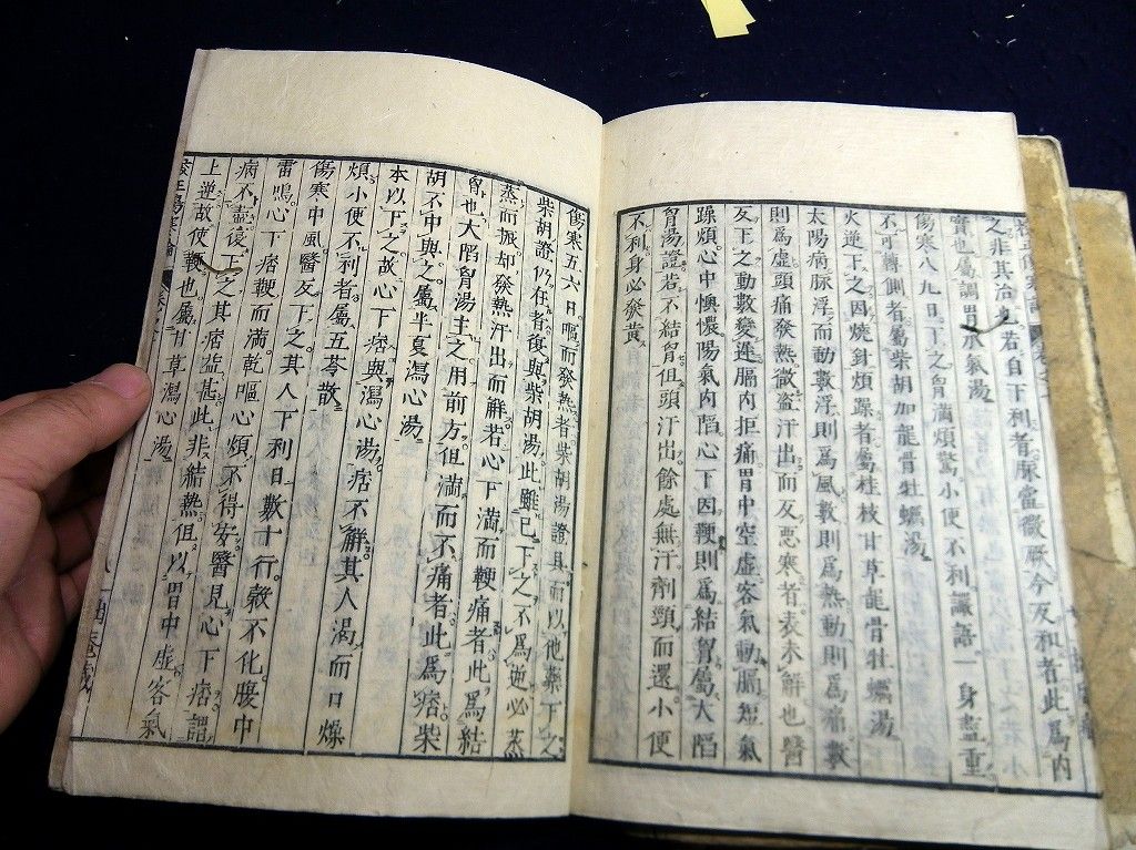 イメージ 11