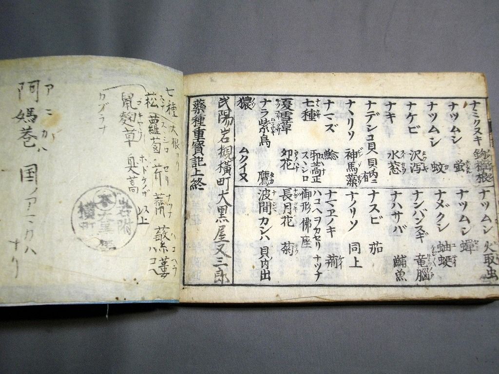 イメージ 5