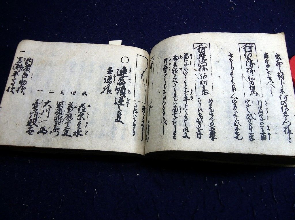 イメージ 8