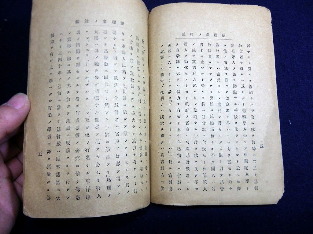 イメージ 5