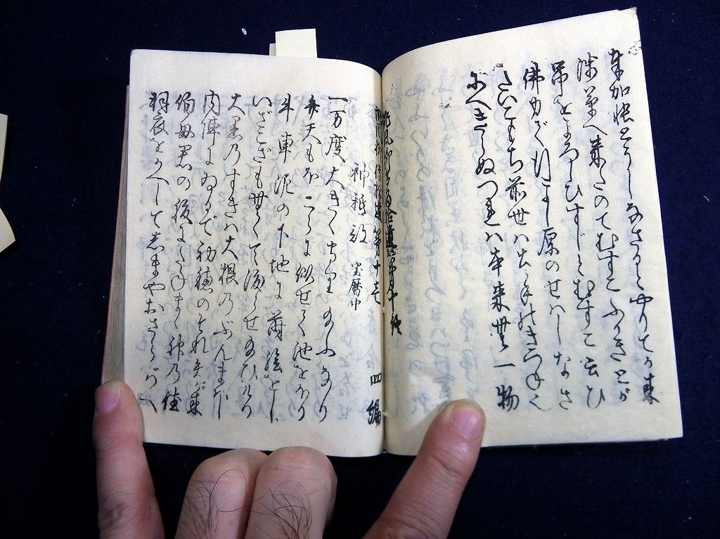 イメージ 8
