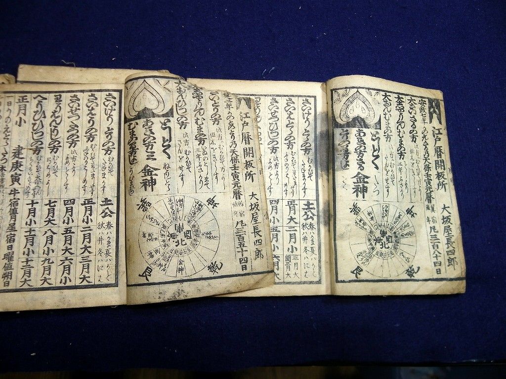 イメージ 5