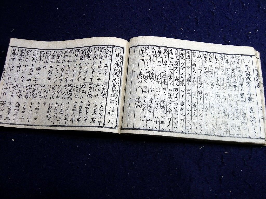 イメージ 7