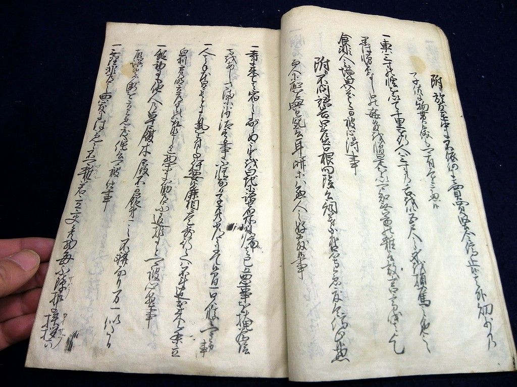 イメージ 7