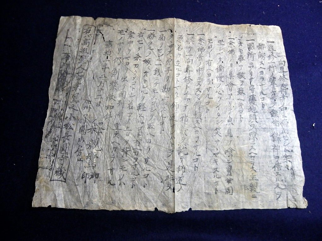 イメージ 1