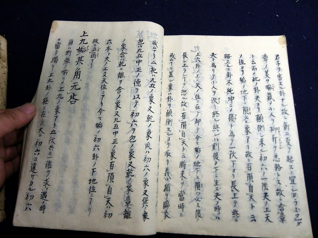 イメージ 5