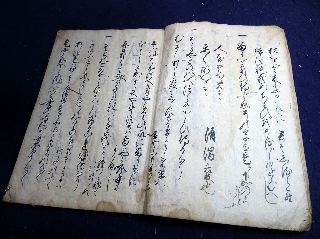 イメージ 7