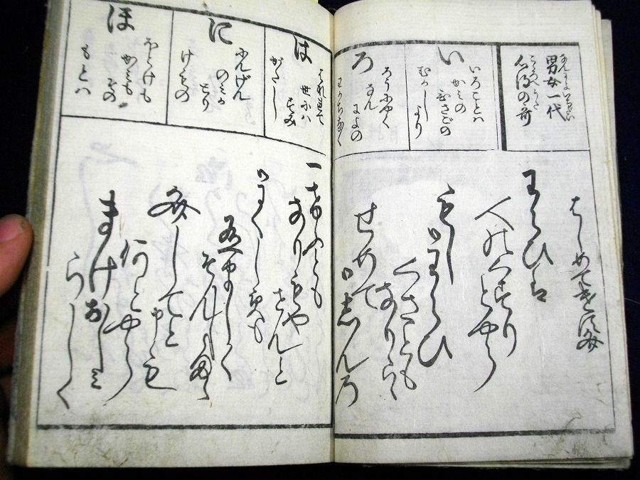 イメージ 5
