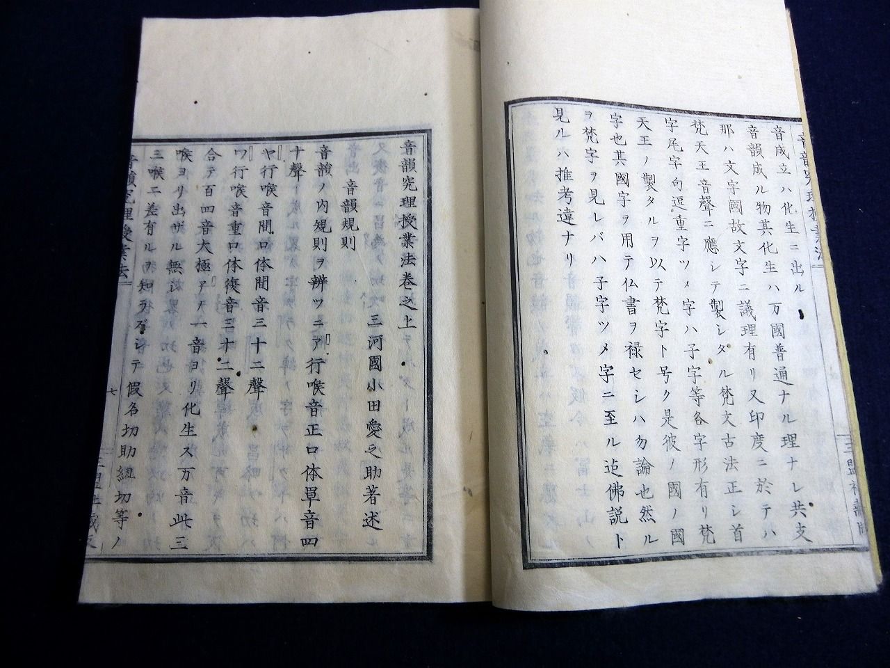 イメージ 6