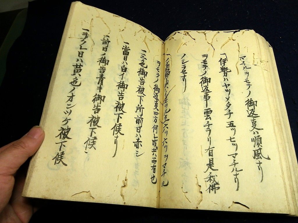 イメージ 10