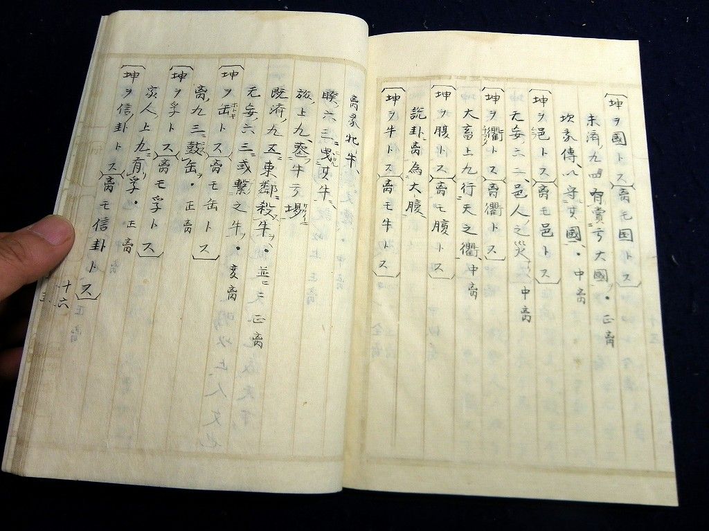 イメージ 10