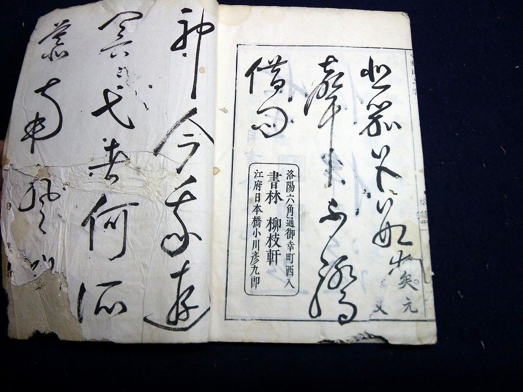 イメージ 14