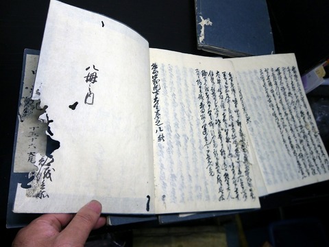 t21c-113